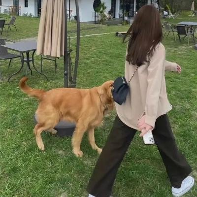 绅士布朗科